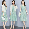 夏季新款宽松印花收腰显瘦圆中长裙连衣裙两件套HR-WT31099 商品缩略图0