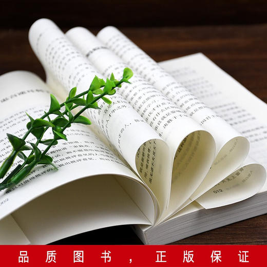 【心如健】老人言 让你受益一生的老话 人生成长的哲理你一辈子都要听得老话 流传千年之久的老人言 经典书籍 商品图4