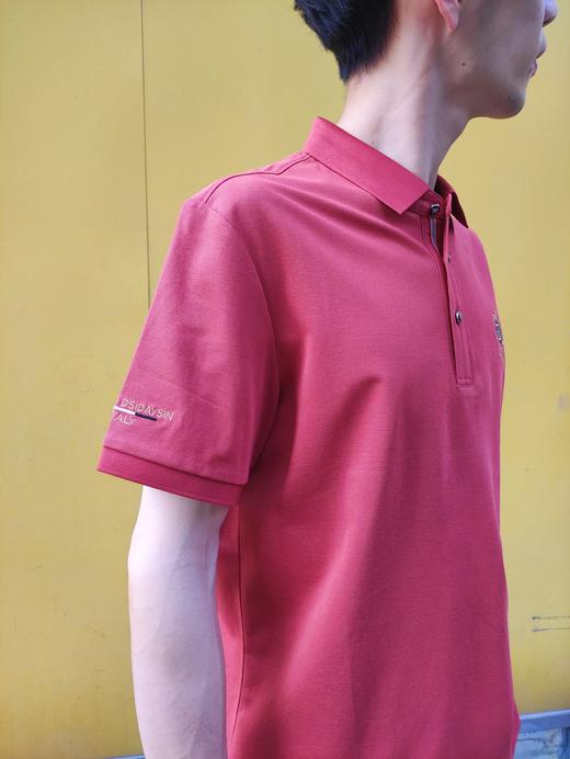 男短袖反领5765 商品图2