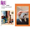 【中商原版】Reading Gems Fact Finders Meerkats Level 1 宝石百科小读本1级 猫鼬 分级阅读 英文原版 儿童动物科普读物 商品缩略图3