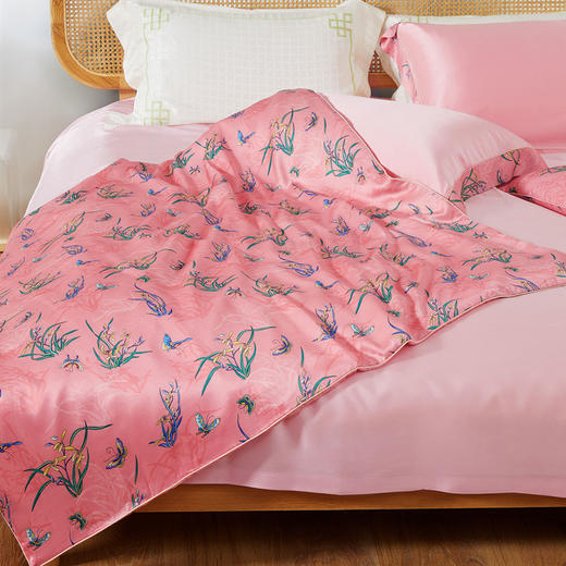 皇锦印花真丝被儿童桑蚕丝被-兰兮HJ11574 商品图1