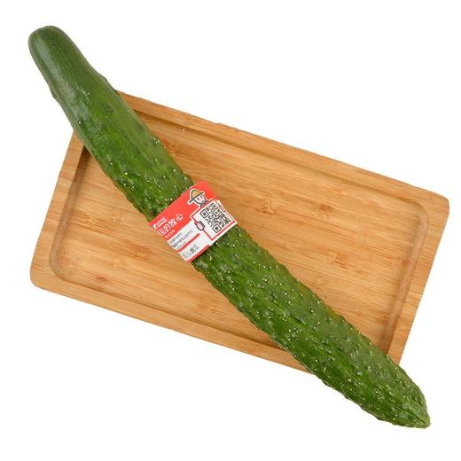 放心龙门山黄瓜 约200g/份 商品图0