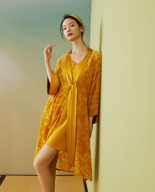 【皇锦】烂花汉服对襟系带长袍 商品图1