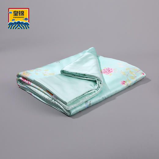 【皇锦】印花蚕丝被-满庭芳 商品图0