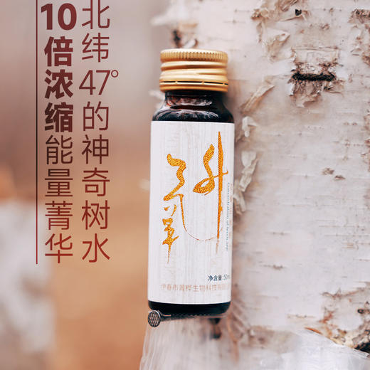 【桦树汁 生命之水】大自然的馈赠 一年只采15天 10倍浓缩桦树汁 50ml*8支/2盒 商品图5