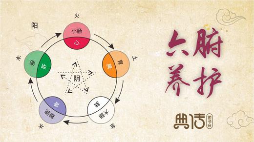 【典传养生】之六腑养护 商品图0