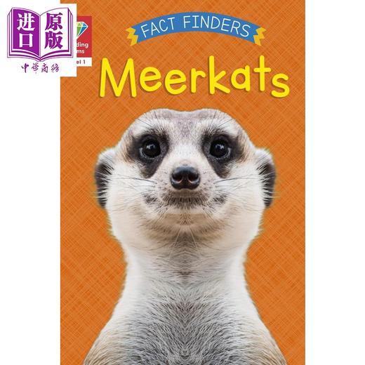 【中商原版】Reading Gems Fact Finders Meerkats Level 1 宝石百科小读本1级 猫鼬 分级阅读 英文原版 儿童动物科普读物 商品图0