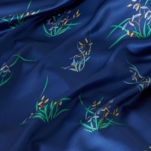 皇锦印花真丝被儿童桑蚕丝被-兰兮HJ11574 商品图2