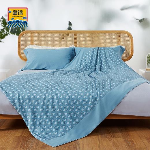 【皇锦】暖真丝蚕丝被·几何纹 商品图0