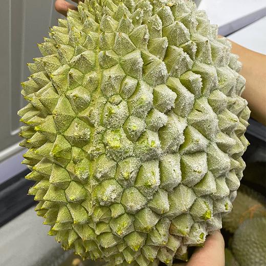 【外运冷链】马来西亚猫山王D197冻榴莲 液氮原果 商品图0