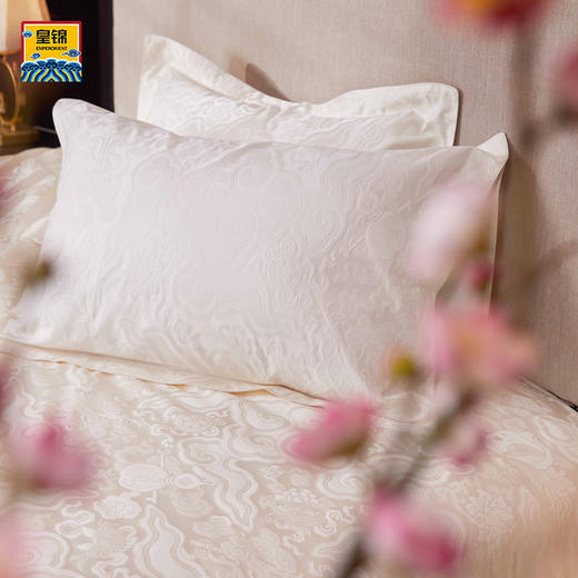 【皇锦】丝棉提花枕套·四角云纹 商品图0