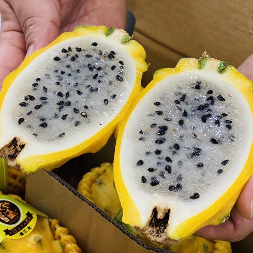 国产燕窝果（6只） 商品图2