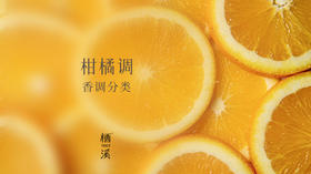适合夏天的柑橘调 | 香氛小百科009