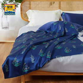 皇锦印花真丝被儿童桑蚕丝被-兰兮HJ11574