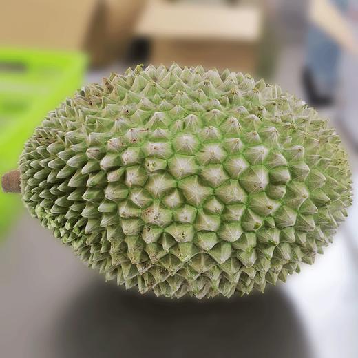 【外运冷链】马来西亚猫山王D197冻榴莲 液氮原果 商品图2