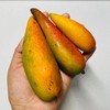 福返辣椒芒🥭 商品缩略图2