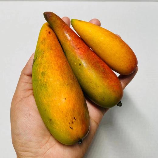 福返辣椒芒🥭 商品图2