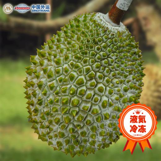 【外运冷链】马来西亚猫山王D197冻榴莲 液氮原果 商品图1