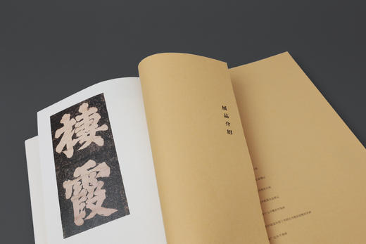 南朝气韵：六朝石刻碑帖讲演录 商品图8