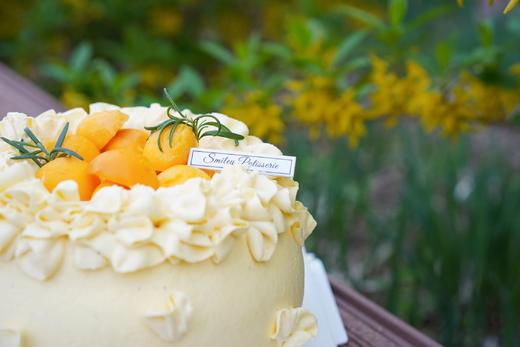 调味奶油蛋糕 | 芒果百香果 - 百香芒芒 商品图2