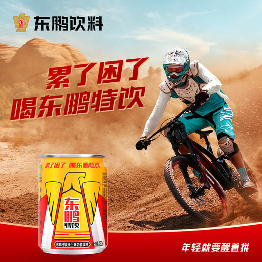 东鹏特饮维生素功能饮料250ML*24罐/整箱维生素抗疲劳功能饮料 商品图5