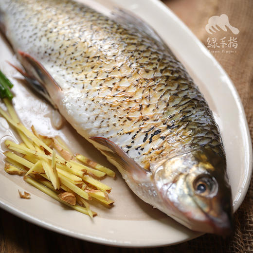 生态土鲮鱼| 合作生产 * Eco- Dace | Coproduction 商品图6