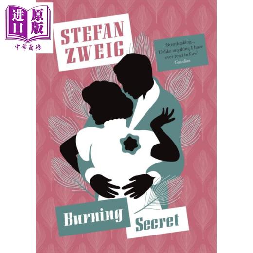 【中商原版】茨威格 燃烧的秘密 Pushkin收藏系列 Burning Secret 英文原版 Stefan Zweig 商品图0