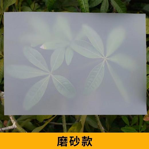 A4A3装订胶片透明封面透明磨砂胶片标书塑料封皮文件保护透明封皮装订封面 商品图6