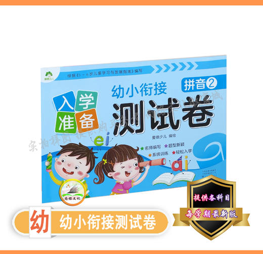 幼儿衔接测试卷 商品图1