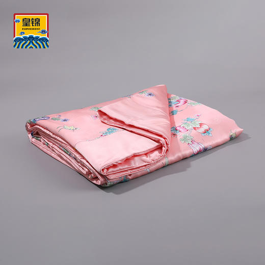 【皇锦】印花蚕丝被100桑蚕丝真丝被·瓜蝶连绵 商品图2