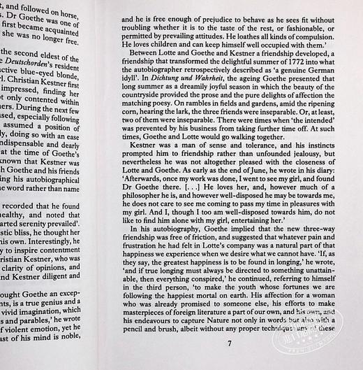 预售 【中商原版】歌德：少年维特的烦恼 英文原版 The Sorrows of Young Werther Goethe 商品图4