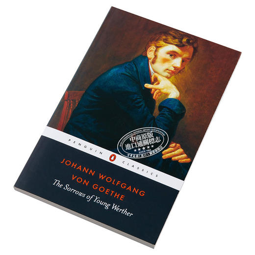 预售 【中商原版】歌德：少年维特的烦恼 英文原版 The Sorrows of Young Werther Goethe 商品图2