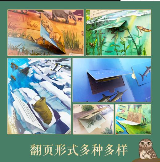 好奇心大揭秘第2辑 幼儿启蒙认知 3D立体书 商品图2