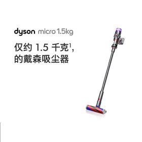 Dyson戴森Micro 1.5kg无绳吸尘器（铁镍色）