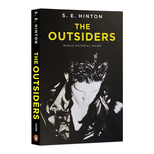 追逐金色的少年 局外人 英文原版小说 The Outsiders 美版 常青藤国际大奖小说 SEHinton 苏珊埃洛伊斯欣顿 英文版进口英语书籍 商品图1