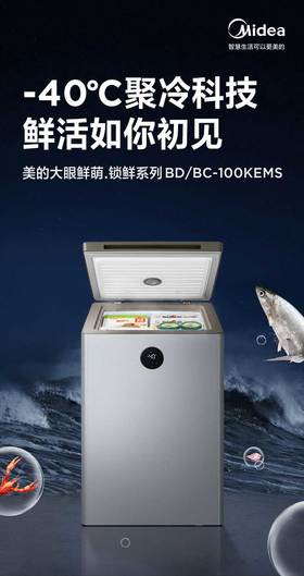 美的BD/BC-100KEMS冷柜
