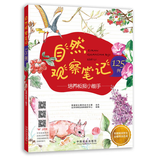 自然观察笔记（2册）孩子手抄报作业参考 商品图1