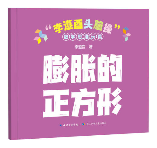 中国智玩经典 李遵酉头脑操 数学思维玩具 适合4岁+ 商品图9