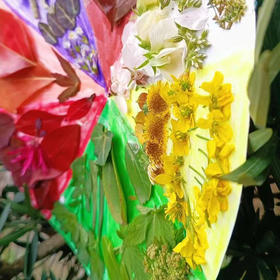 自然中的美育课·综合材料 | 农园活动 * The game of color | Farm activities