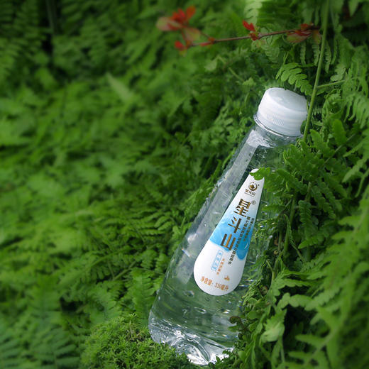 【恩施】星斗山天然硒锶活泉水 350mlx12瓶 商品图4