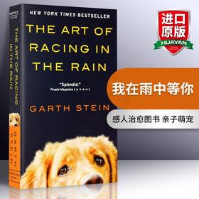 Collins 我在雨中等你 英文原版小说 The Art of Racing in the Rain 雨中奔跑的艺术 英文版 进口书籍