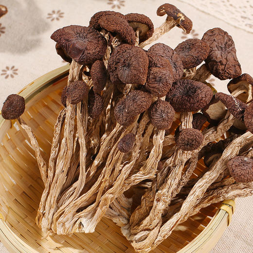在菌屋 云南农家茶树菇干货80g/袋 手工剪脚 无熏硫无泥沙 商品图6