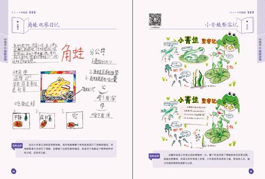 自然观察笔记（2册）孩子手抄报作业参考 商品图5