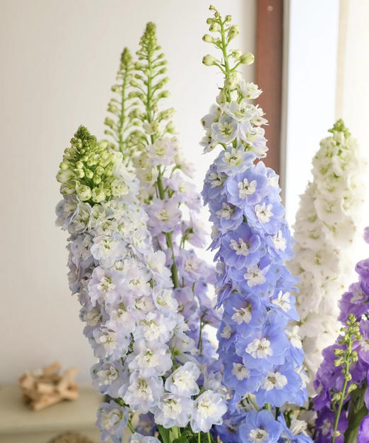 【国产】大飞燕  多色可选   约5枝/扎  约70公分 商品图2