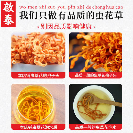 香港啟泰 虫花干货130g袋装 炖鸡汤料包 南北干货金蛹虫孢子头煲汤材料 商品图4