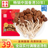 香港啟泰茶树菇干货100g不开伞福建古田菌菇山珍南北干货煲汤食材 商品缩略图0