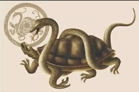 神龟出水第四天