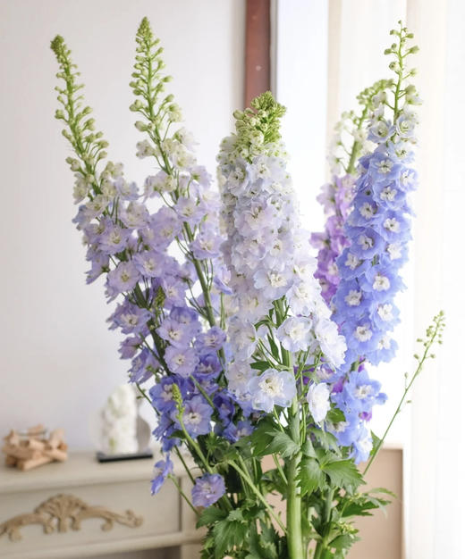 【国产】大飞燕  多色可选   约5枝/扎  约70公分 商品图1