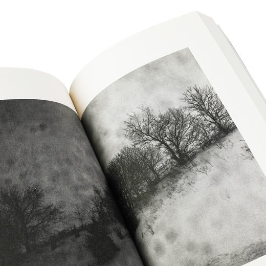 奉献·白日梦 商品图2