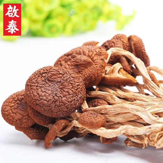 香港啟泰茶树菇干货100g不开伞福建古田菌菇山珍南北干货煲汤食材 商品图1